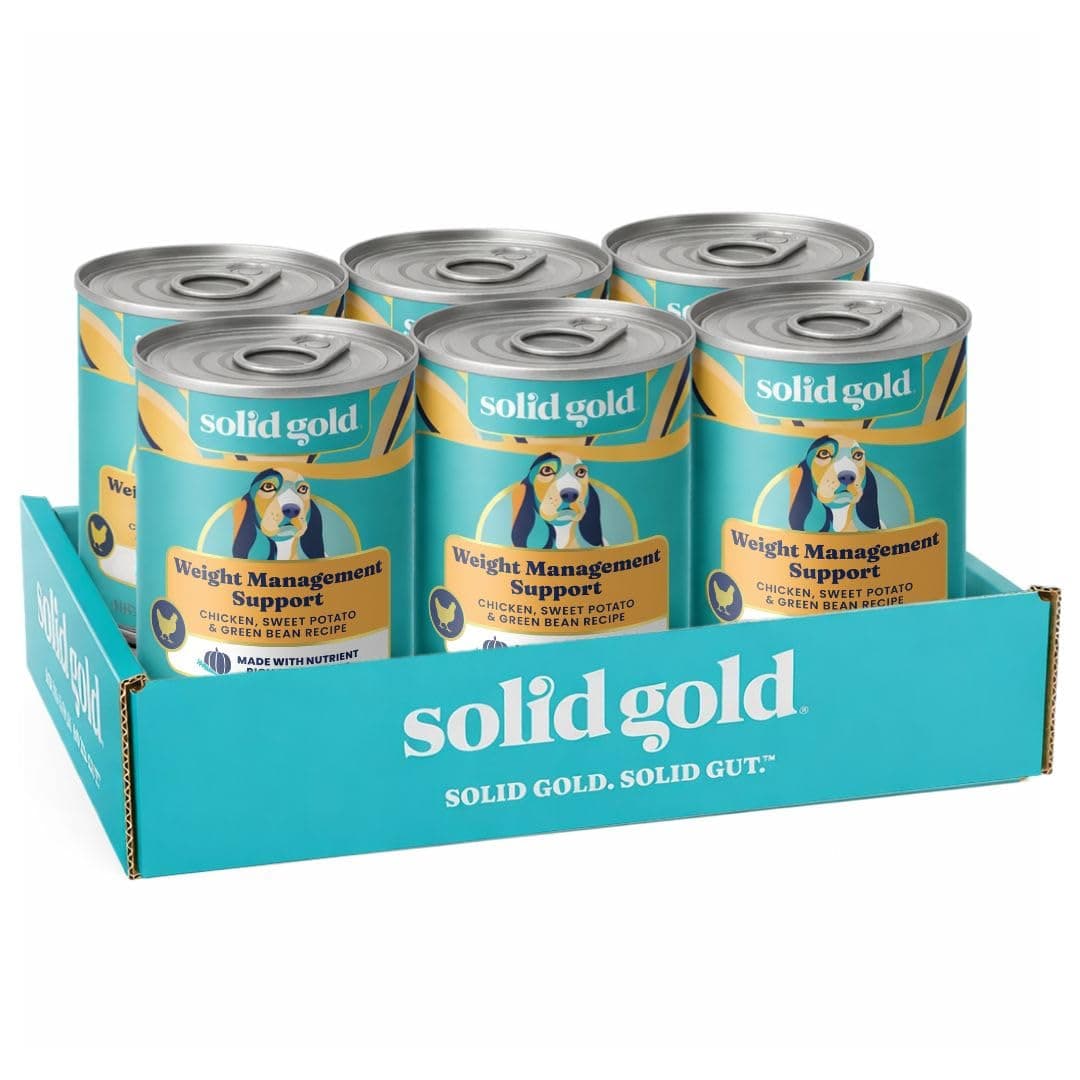 Solid Gold Weight Management Dog Food Wet - High Fiber Grain Free Dog Food Wet Recipe w/Real Chicken, Sweet Potato & Green Beans - Healthy Weight & Gut Health Support for Dogs - 6ct/12.5oz Cans