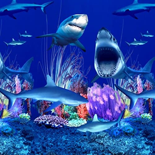 Shark Nation - 18 ft x 33 ft Overlap Pool Liner - Above Ground Pool Liners, Quality Pool Products (18'x33' oval)