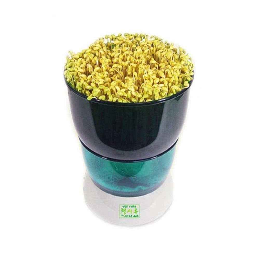 Cheungshiru SC-9000A Automatic Seed Sprouter Germinated Brown Rice Grower Cultivator Planter (220V 50Hz)