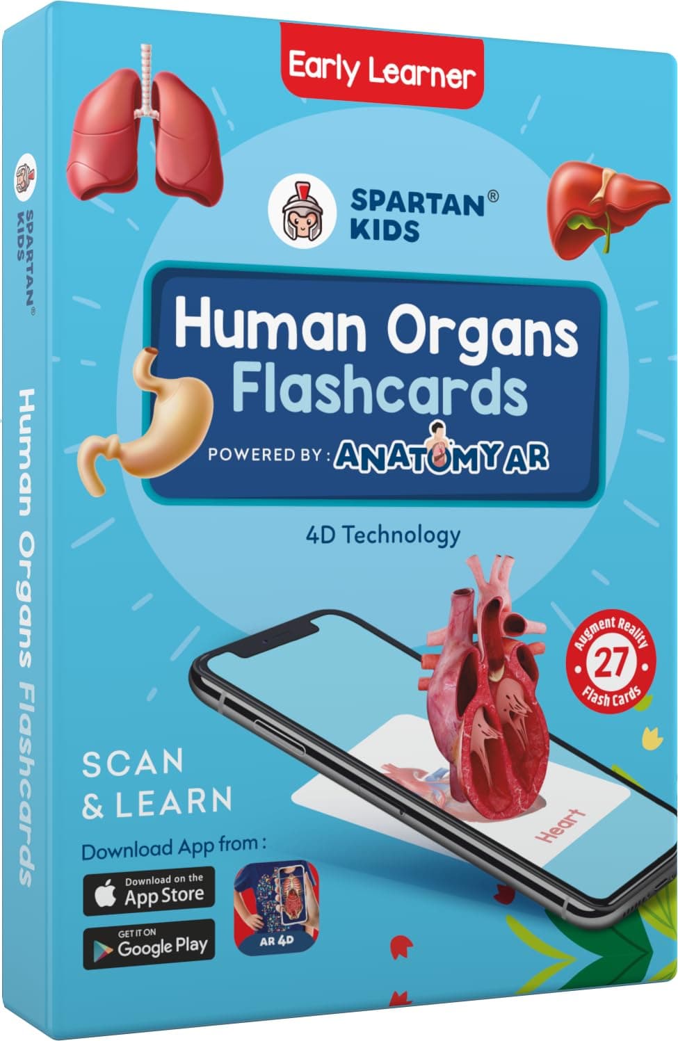 SPARTAN KIDS® Human Organs Flash Cards | Early Learning 4D Technology Flash Cards for Kids | 27 Augmented Reality Cards for Kids 3+ Years