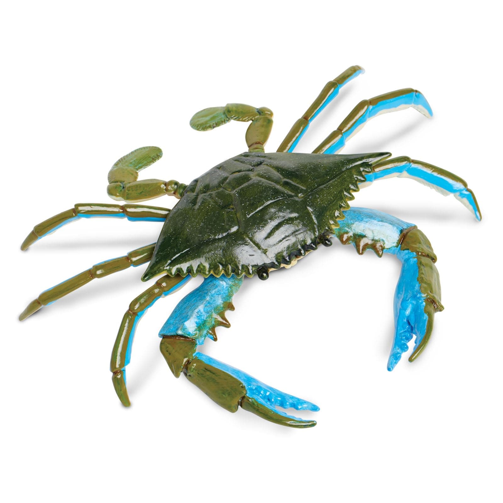 Safari Ltd. Blue Crab Figurine - Realistic 7" Model Figure - Educational Toy for Boys, Girls, and Kids Ages 18M+