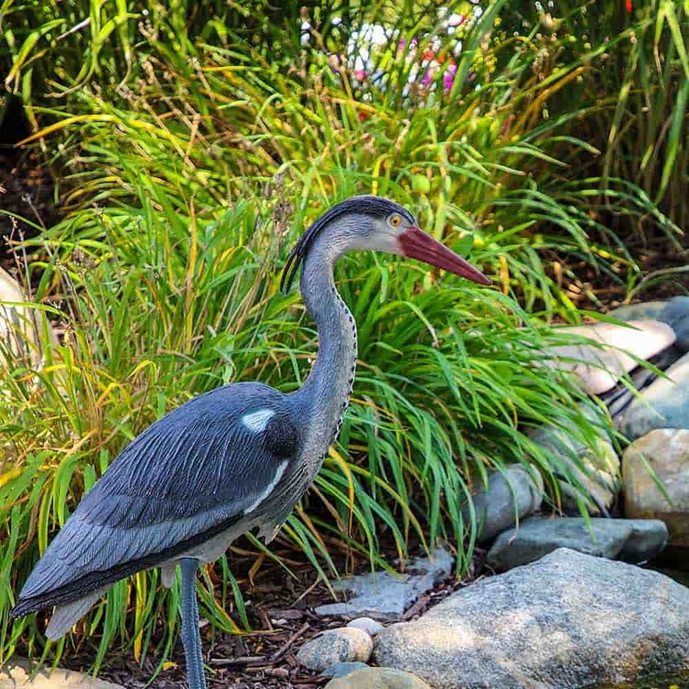 Blue Heron Decoy for Backyard Water Gardens or Patio Ponds, Deter Predator Waterfowl & Protect Koi, Realistic Outdoor Yard Decoration