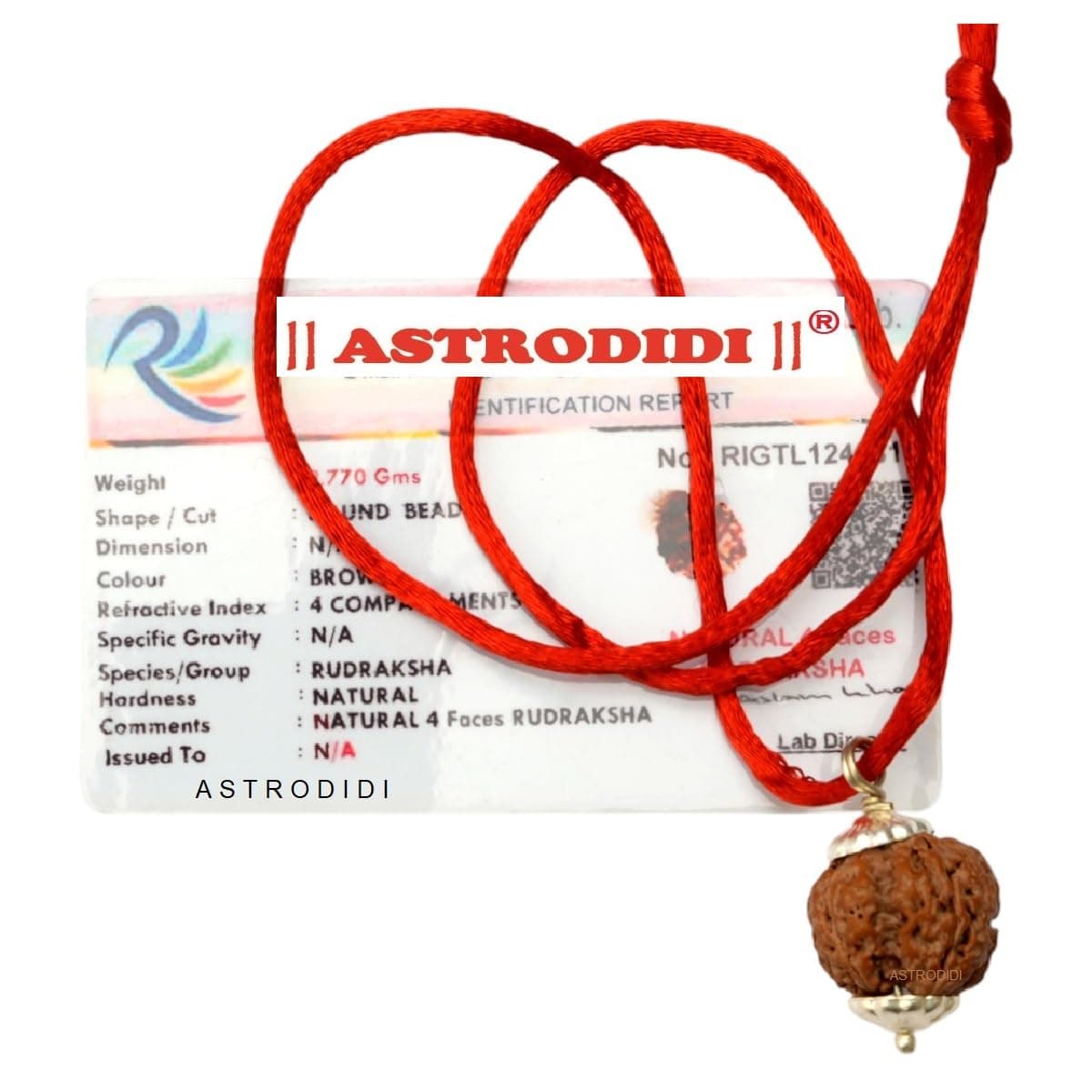 ASTRODIDI 4 Mukhi Rudraksha Original Certified Silver Plated Pendant | Natural Nepali Four Face Rudraksh | Astrological Benefits | Unisex Design for Men & Women, Standard, Rudraksha, No Gemstone