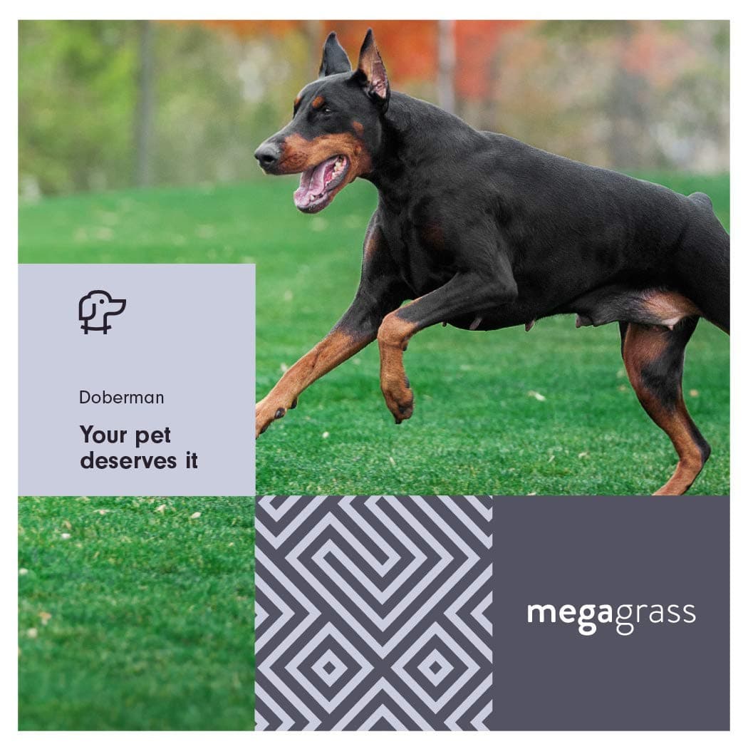 MegaGrass Doberman 15 x 4 Ft Artificial Grass for Large Pet Dog Potty Outdoor Indoor Green Faux Fake Grass Decor Synthetic Grass Mat Rug Pad Turf | 60 SqFt | 1.88" Tall Blades 92 Oz Face Weight