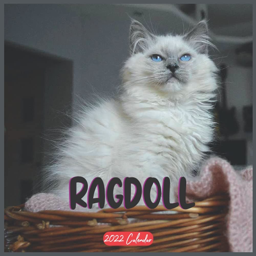 Ragdoll 2022 Calendar: Official Ragdoll Cat breed 2022 Calendar 16 Months