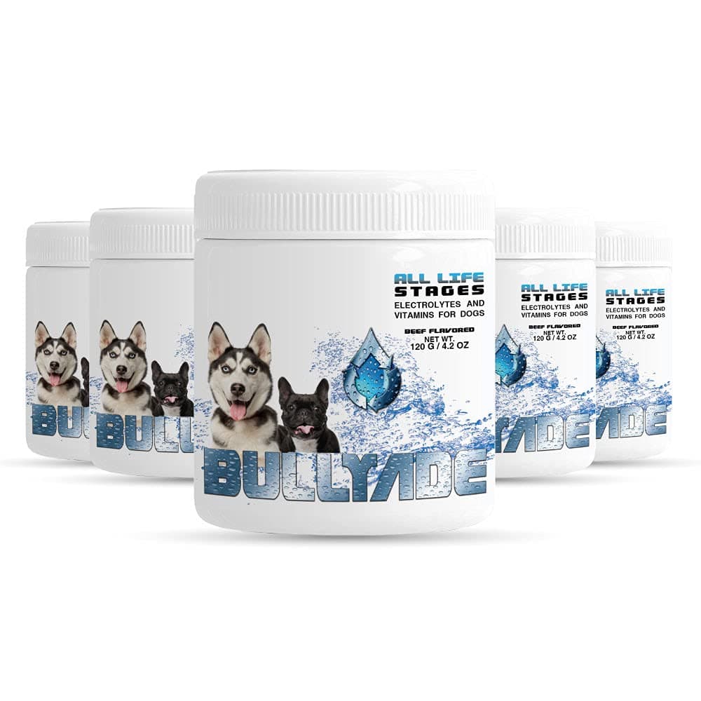 Bullyade Natural Dog Supplement with 18 Vitamins, Minerals & Electrolytes. Mixes with Water or Food. (Beef 5 Pack)