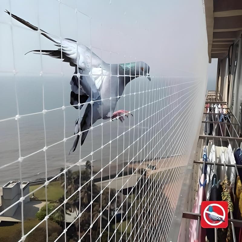 Essoti UV Stabilized Anti Bird Net- Pigeon Net (4 X 12 FT) with Attached Corner Ropes & Installation Kit/Size-