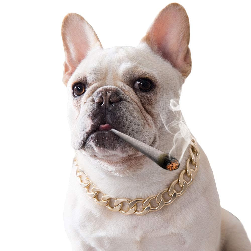 Cuban Curb Gold Dog Choke Chain for French Bulldog Medium Large Dog Necklace Pitbull Pug Collar (15mm Wide 14.5” Length) (Length: 14.5” Wide: 15mm, Gold)