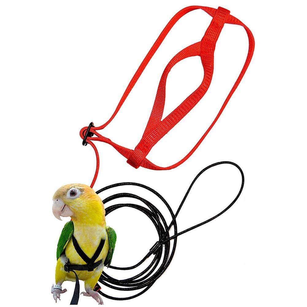 fervory Bird Harness Parrot Release Traction Strap Outgoing Rope Parrot Training Leash