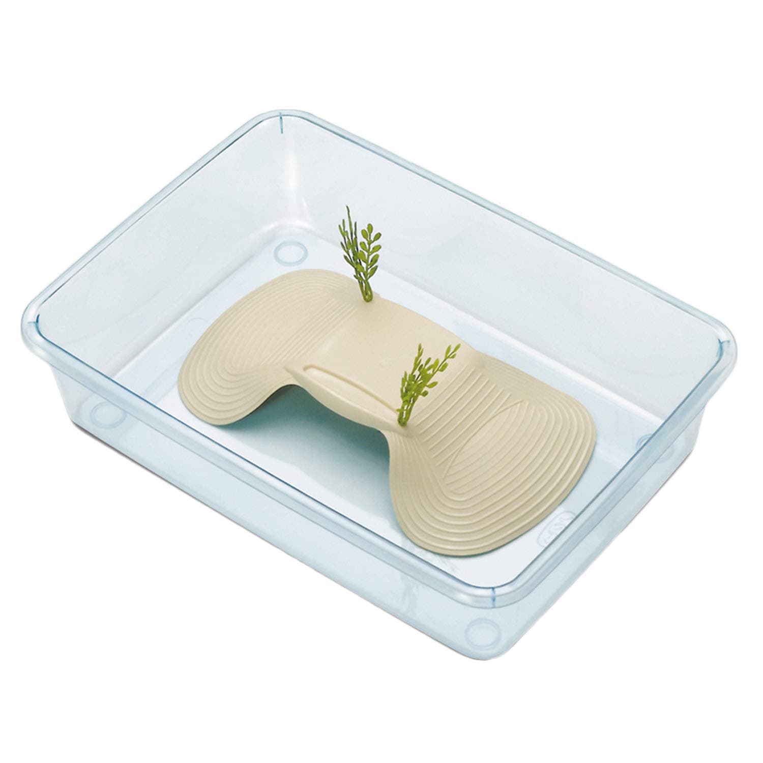 arquivet 8022967016674 – tortuguera asthera Small