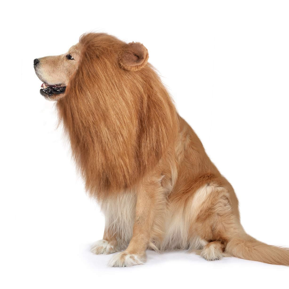 GTHUNDER Dog Lion Mane,Funny Dog Costume,Adjustable Lion Mane for Dog Complementary Halloween Lion Costumes with Ears Dog Wig for Medium or Large Sized Dogs (Brown)