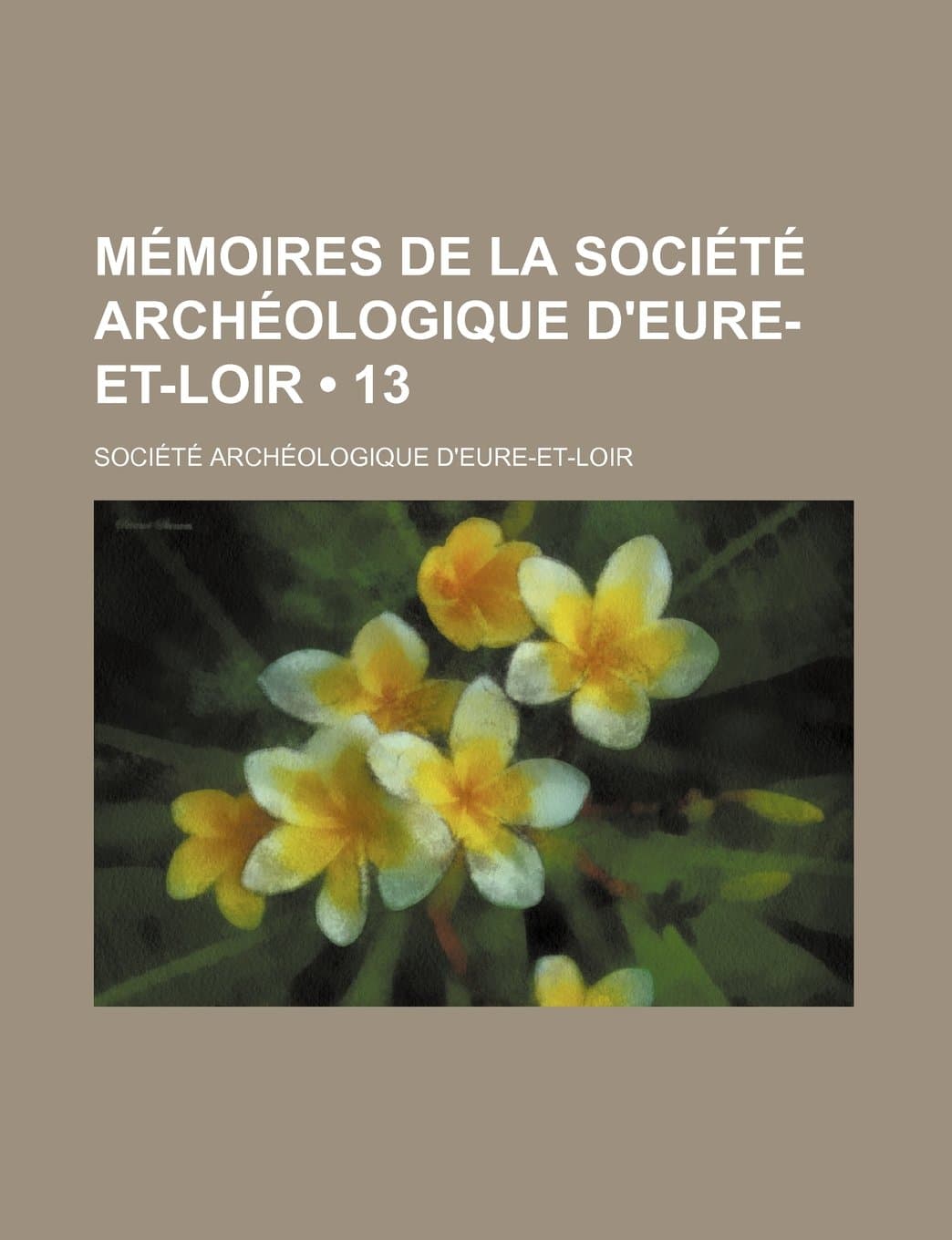Memoires de La Societe Archeologique D'Eure-Et-Loir (13)