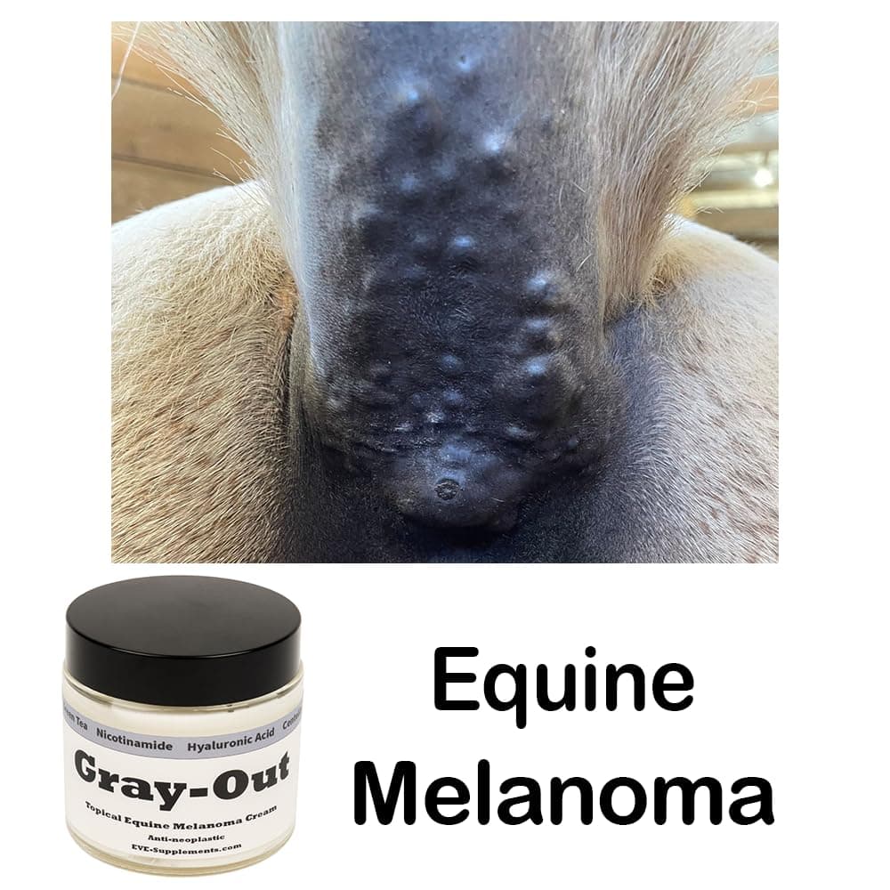 Gray-Out | Equine Melanoma Cream | Topical for Grey Horses Supports Skin Health & Appearance | Easy-to-Apply Formula for Lumps & Blemishes | 4 oz Jar