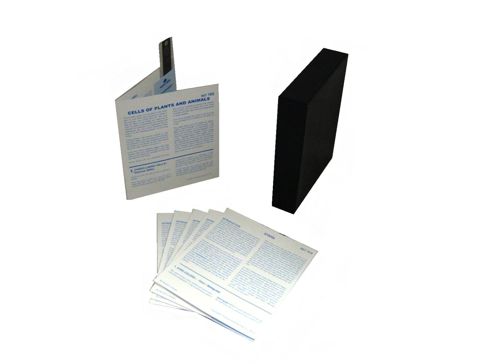 American Educational Microslide Cells of Plants and Animals Lesson Set, Italian Text