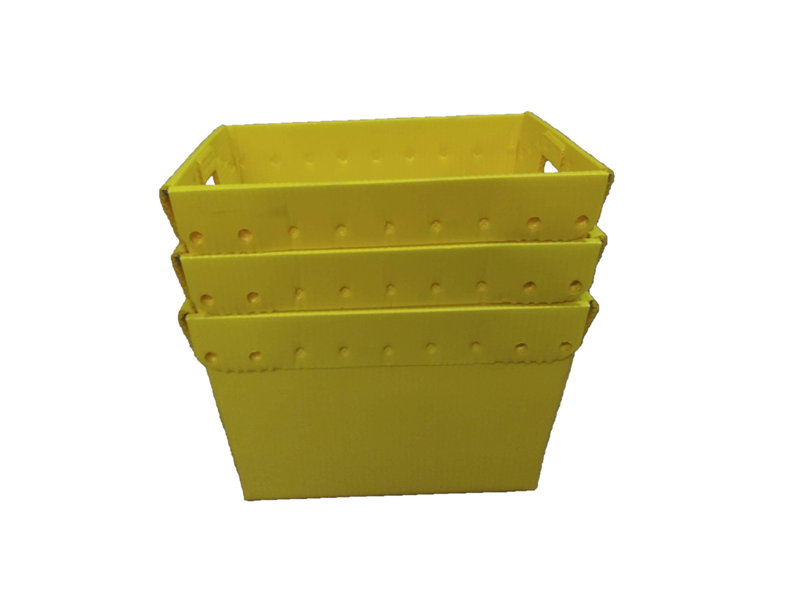 Charnstrom 18.25 x 13.25 X11.5 H Inches Corrugated Plastic Postal Tote, Pack of 3 (1577Y)