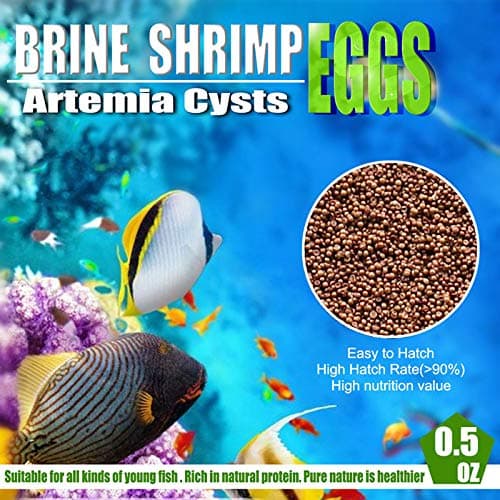 Cenyo Brine Shrimp Eggs for Aquatic Foods Baby & Fry Foods The Popular 90% Hatch GSL Brine Shrimp Eggs (1 oz)