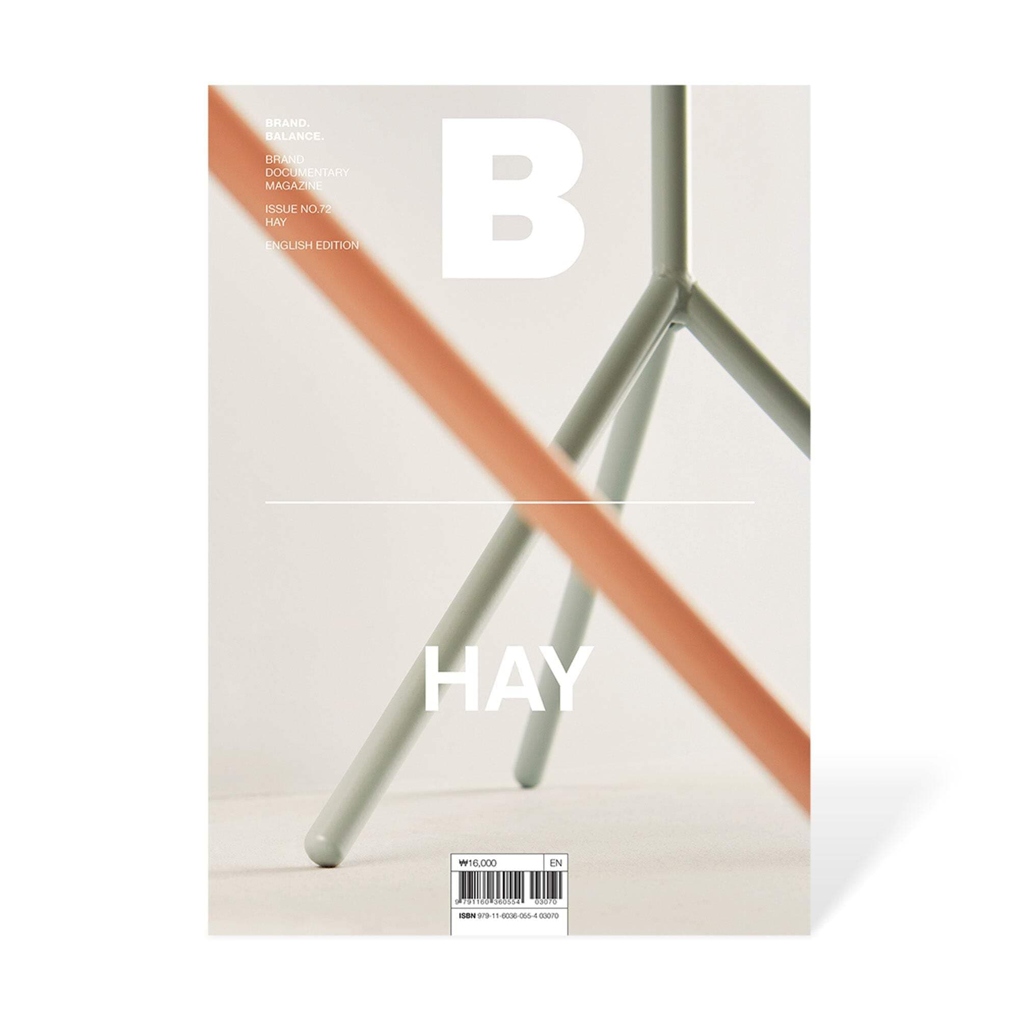Magazine B - HAY Single Issue Magazine – January 1, 2019