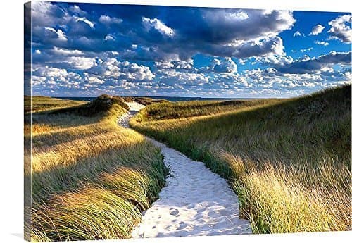 Large Canvas Wall Art, Beach Art, Beach Decor, Canvas Gallery Wrap, Coastal Photography, Autumn Art, Martha's Vineyard, Cape Cod, Nautical Decor, Dunes Path Photo - "Philbin Beach Path"