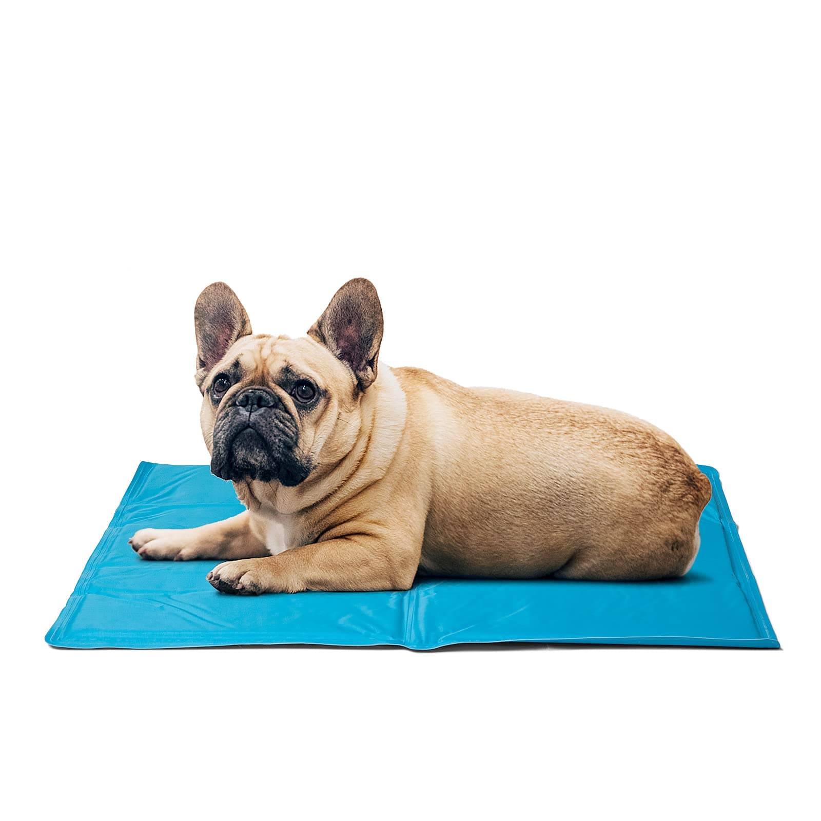 Seekavan Dog Cooling Mat Medium 65 * 50cm, Non-Toxic Durable Pet Cooling Cushions Ice Gel Pad Self-cooling Mattress for Dogs Cats in Hot Summer blue M