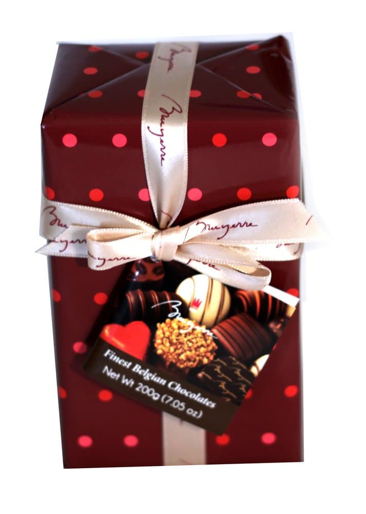 Bruyerre Assortment of Finest Belgian Chocolates 7.05 Oz Holiday Gift Box