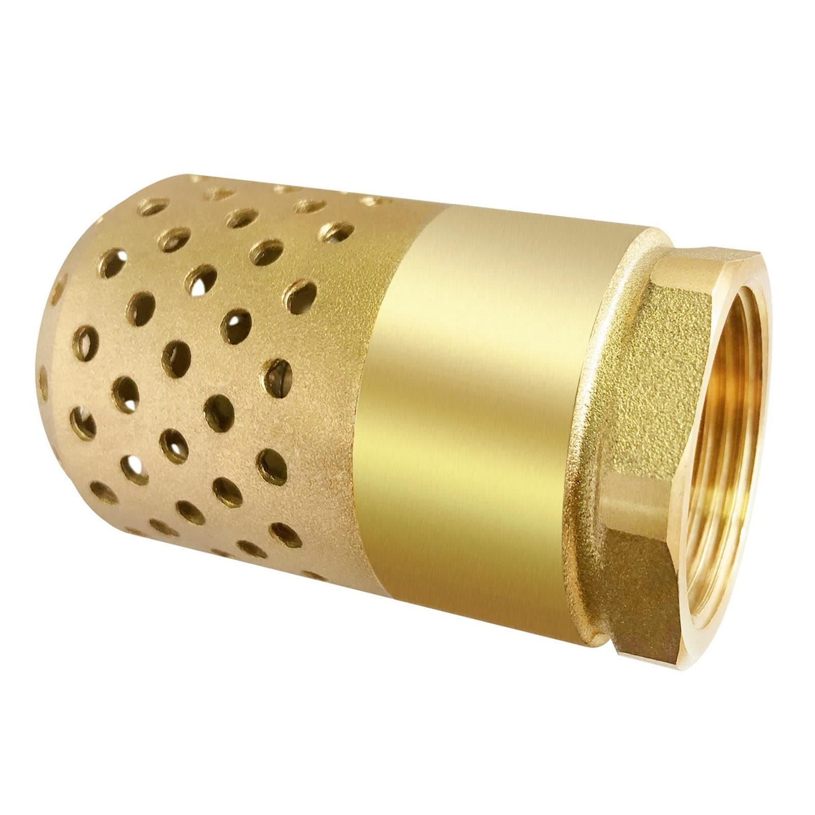 Brass Foot Valve, 2 inch NPT Spring Mesh Check Valve Female Connection One Way Foot Valve Backflow Preventer with Holes Strainer Filter(2'' NPT)