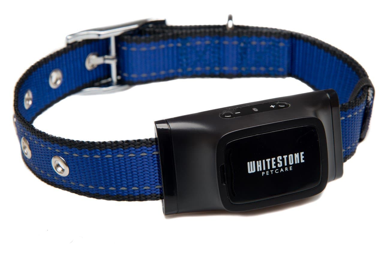 The Barking Control Collar by WhiteStone Petcare - | Blue | 1 Year Warranty Quality Guarantee | An Automatic Anti Bark Device for Barking Dogs, with Advanced Bark Detection Technology | Adjustable and Ergonomic Collar Suits all Dogs; Small, Medium and Large | Pet Friendly Design Produces Sound and Vibration, does not Spray or Shock |