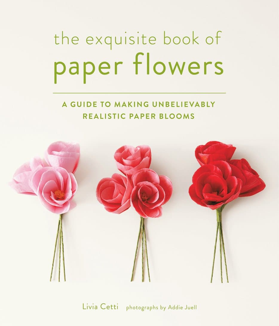 Exquisite Book of Paper Flowers: A Guide to Making Unbelievably Realistic Paper Blooms Paperback – Illustrated, 1 April 2014