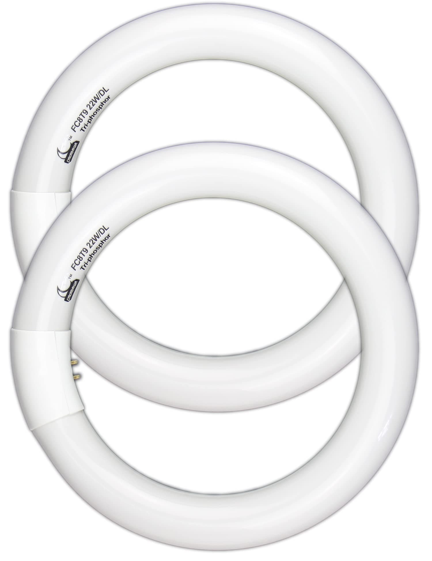Circular Bulb FC8T9/DL, 8 Inch T9 22W Circline Fluorescent Light Bulbs, Replacement Round Fluorescent Lamp Tube, Bright Daylight 6400K 1250 Lumens, G10q 4 Pin Base, 2 Pack