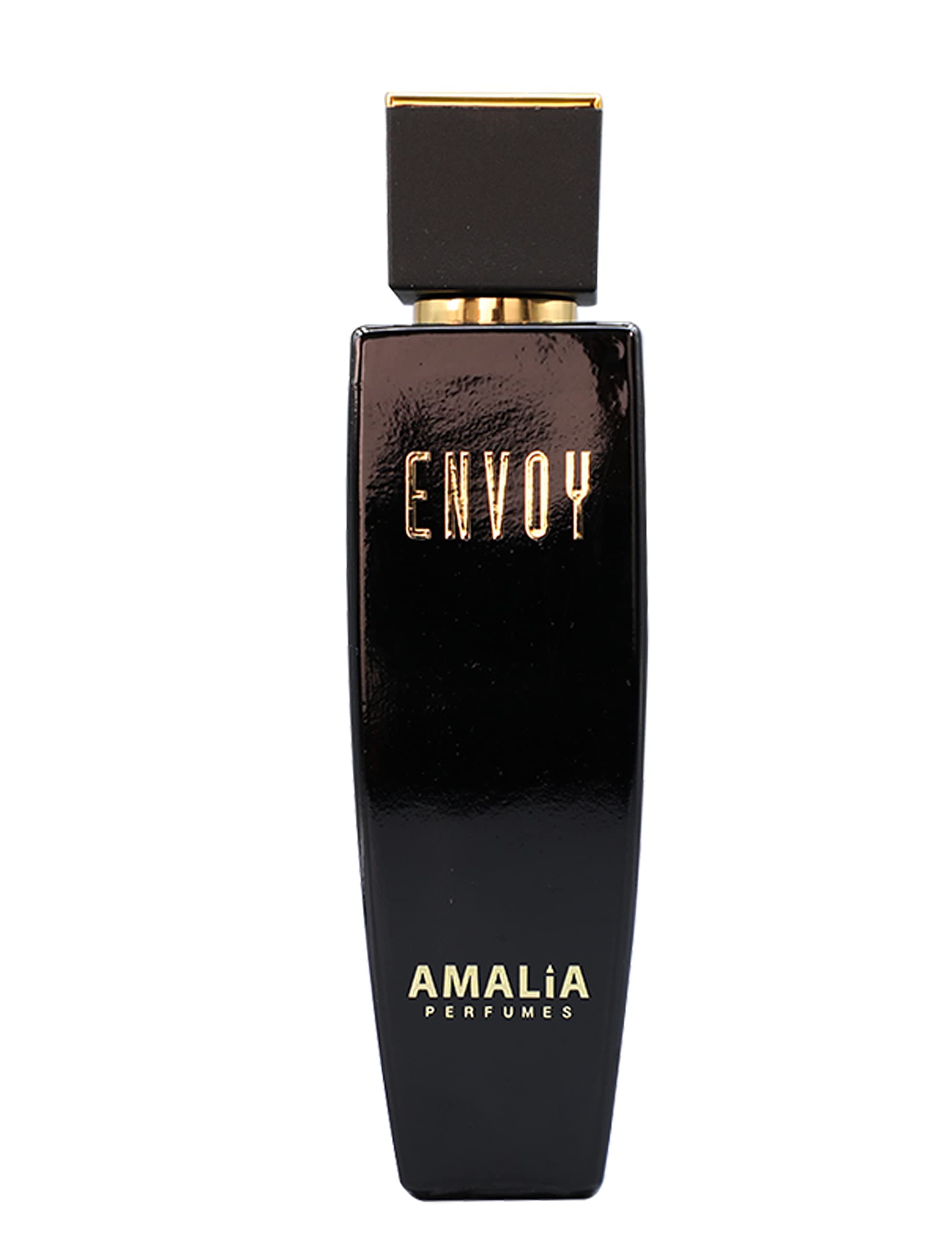 Envoy Eau De Toilette Pour Homme (100ml)