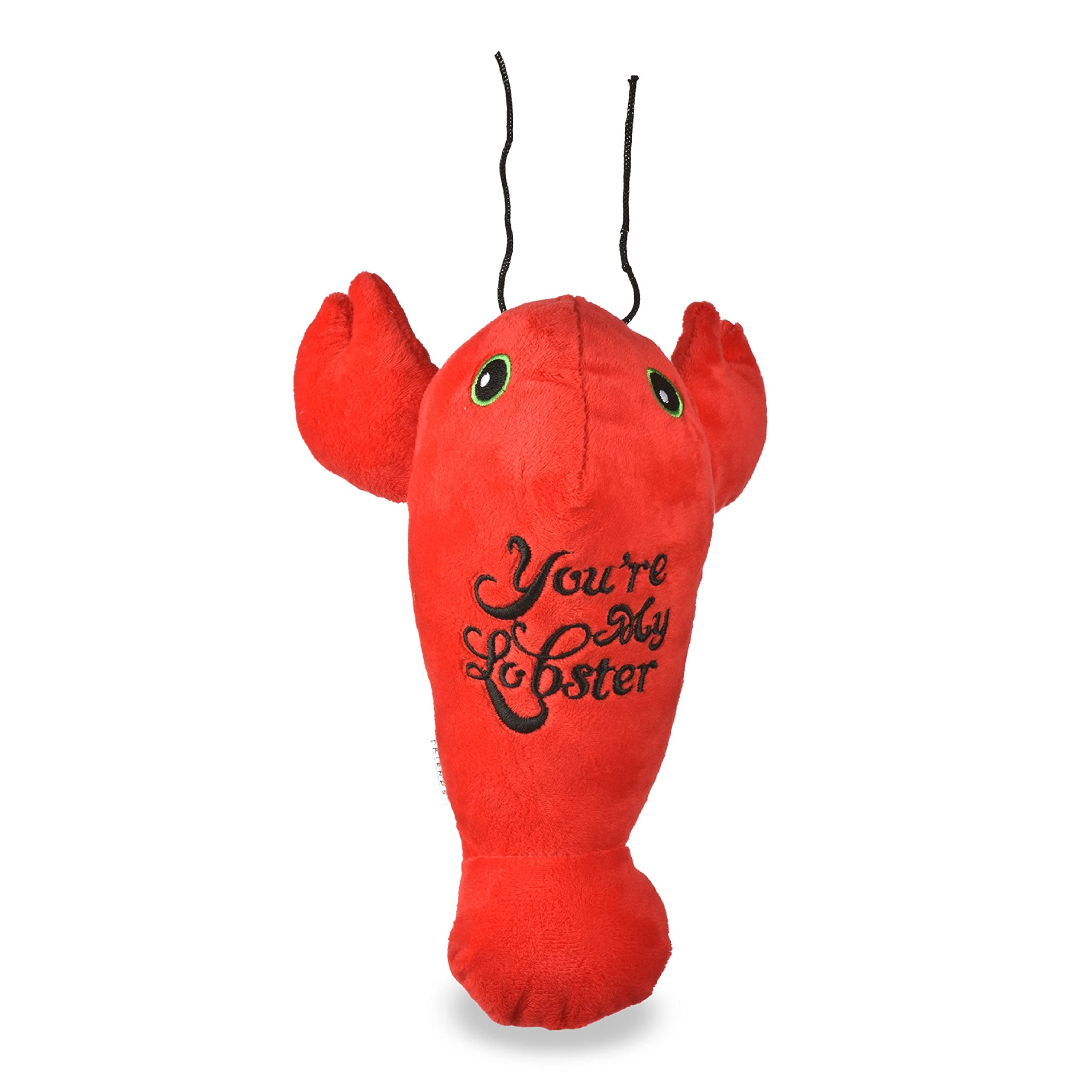 Dog Toy Lobster Plush Squeaker | Friends You’re My Lobster Plush Squeaker Pet Toy | Friends Show Toy for Dogs Stuffed Animal 6 inch, Love Themed Dog Toys