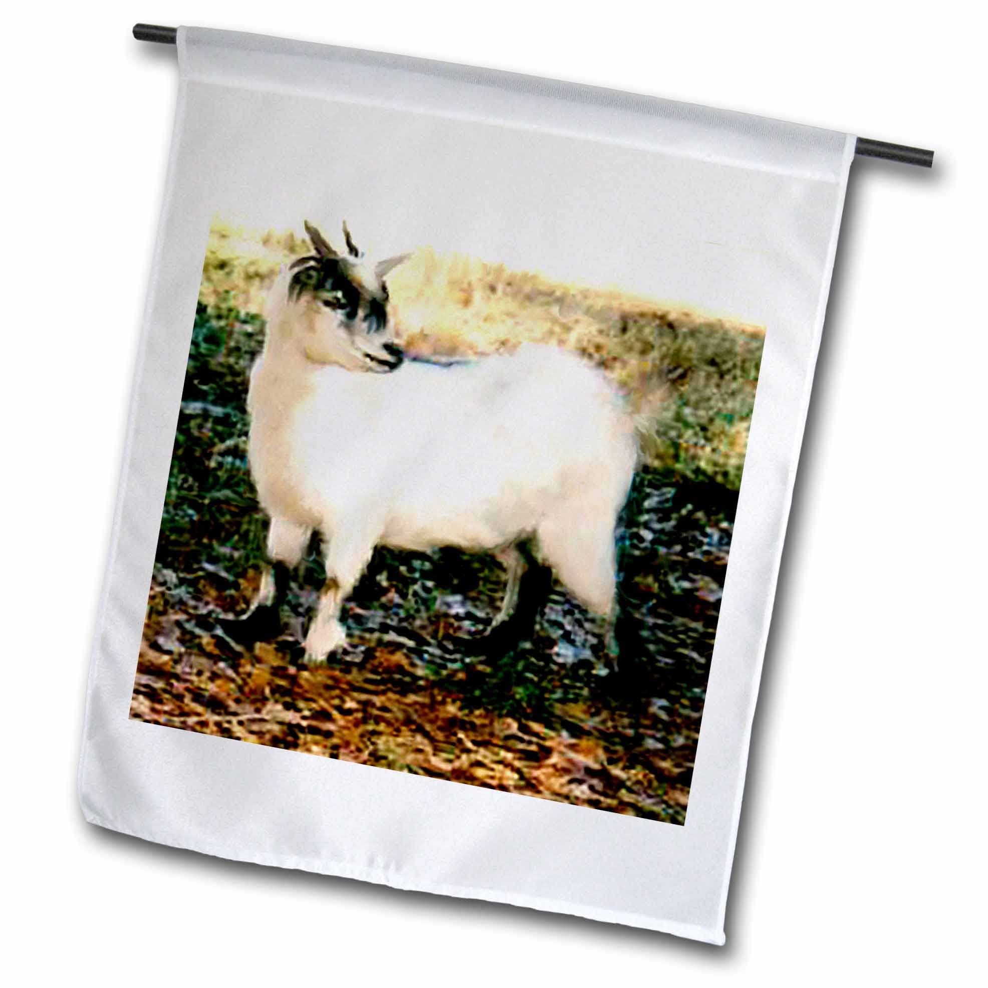 3dRose Pygmy Goat-Garden Flag, 12 by 18-inch (fl_819_1), Varies