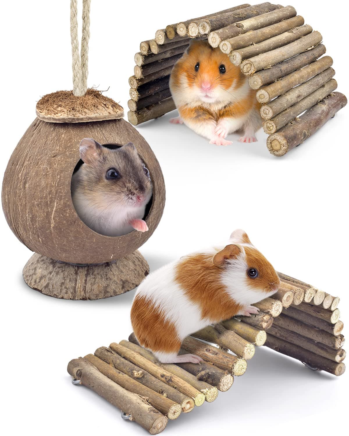 KATUMO Coconut Hideout Hamster House Bed Wooden Ladder Bridge Small Animal Chew Toys Mouse Rat Toys for Gerbils Mice