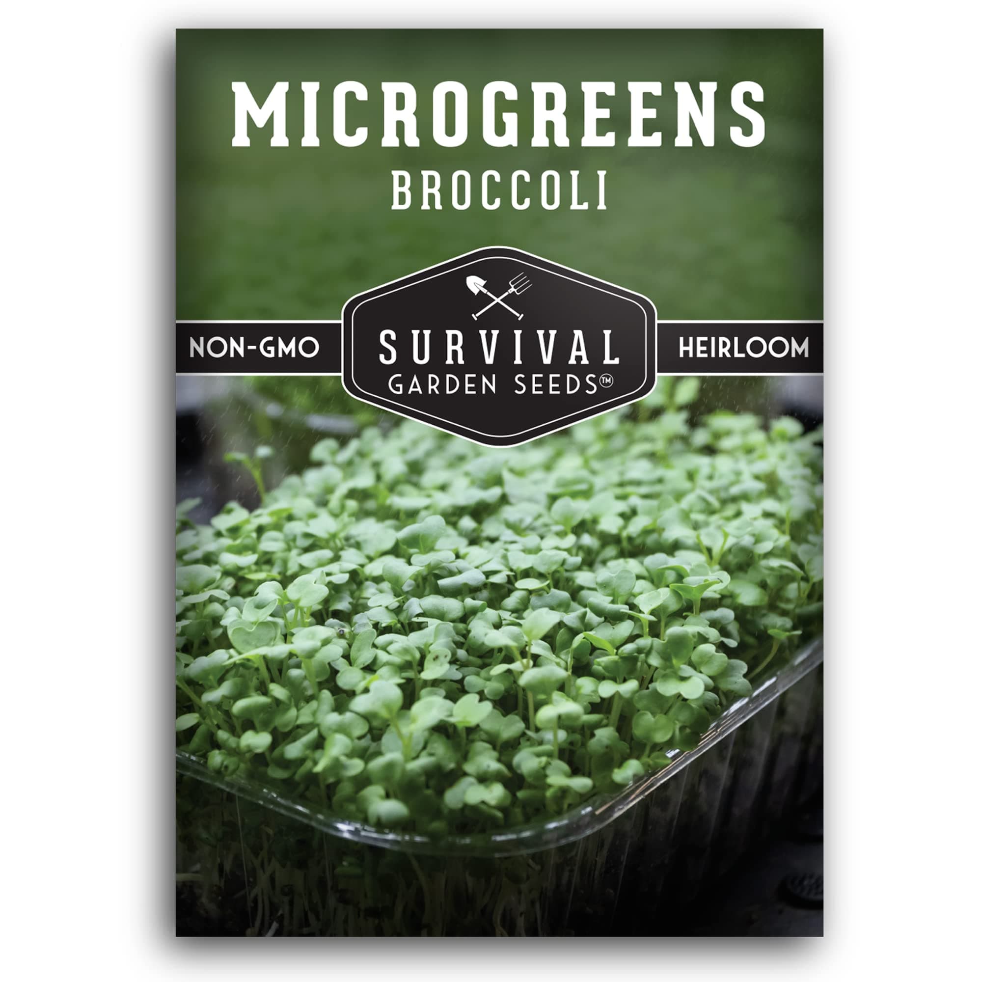 Broccoli Microgreen Seeds for Planting - Non-GMO Heirloom Broccoli Seeds to Grow Microgreens - Indoors or Hydroponic - Fast Sprouting, Nutrient Dense - Survival Garden Seeds (1 Pack)