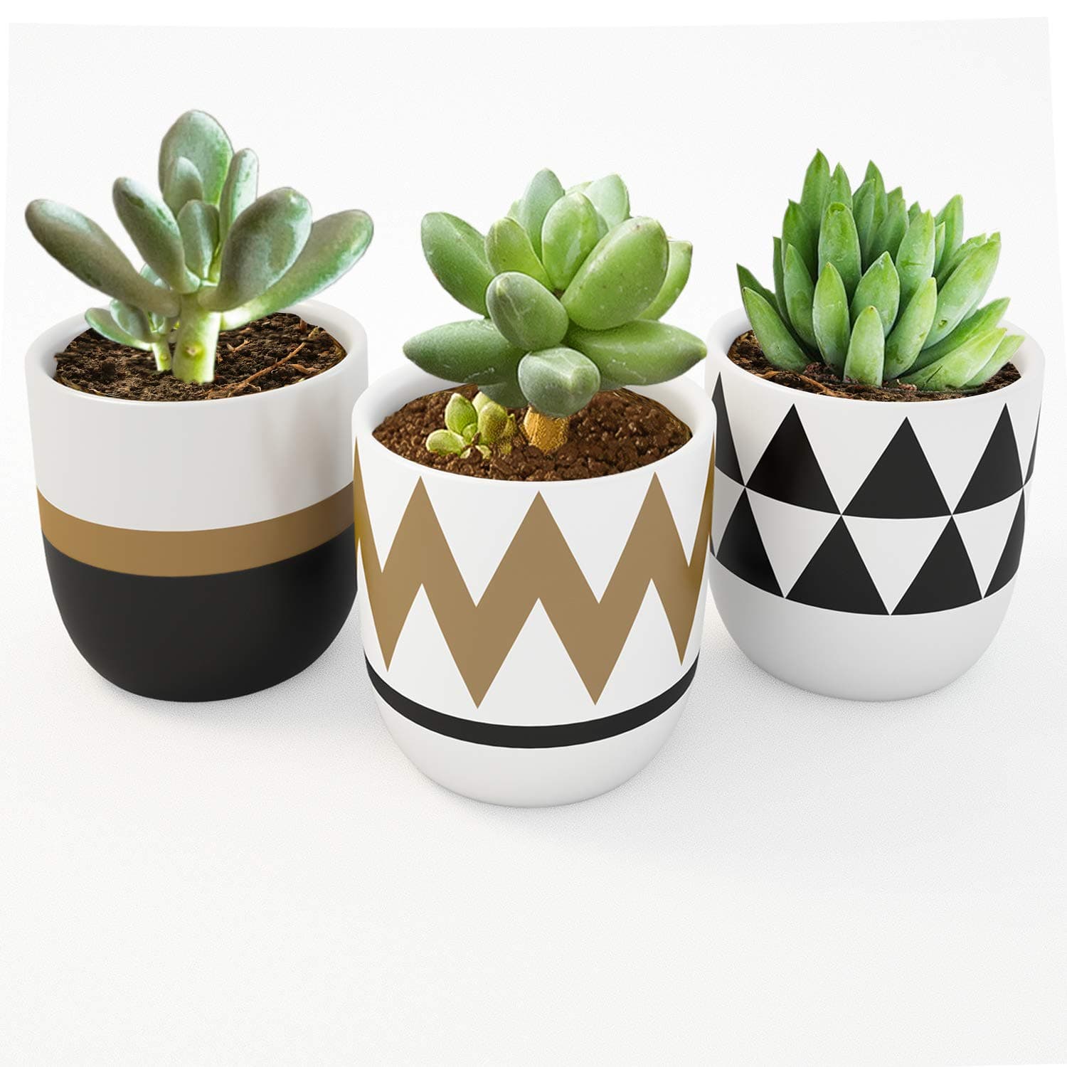 Modern 4-Inch Ceramics Succulent Planter Flower Pots Mini Planter Indoor for Cactus or Small Plants