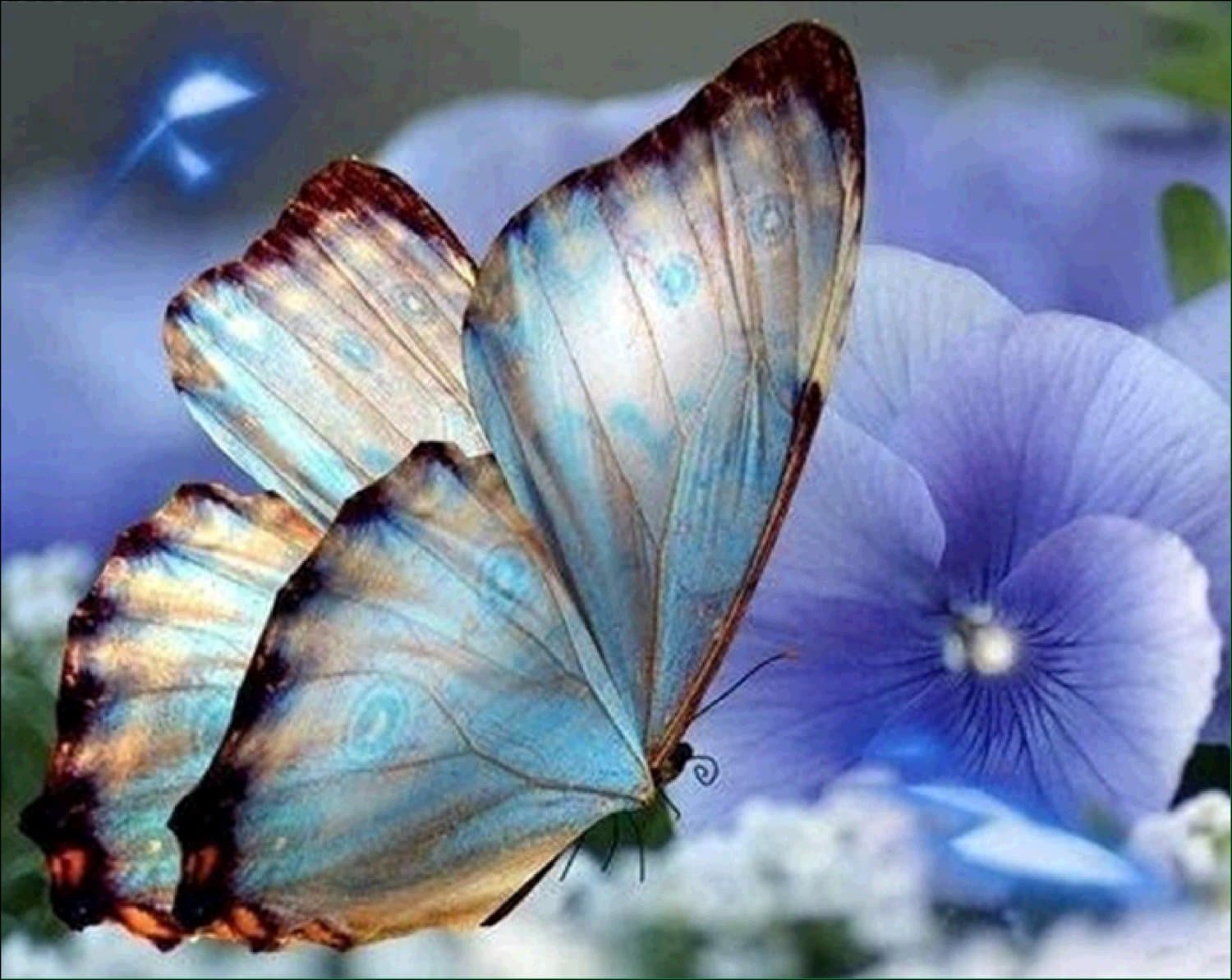 AIRDEA Butterfly Diamond Painting Kits for Adults Beginners Partial Drill DIY 5D Diamond Art Kits Flowers Round Diamond Painting for Kids Rhinestone Arts Craft Canvas Home Wall Art Decor 25x30 cm