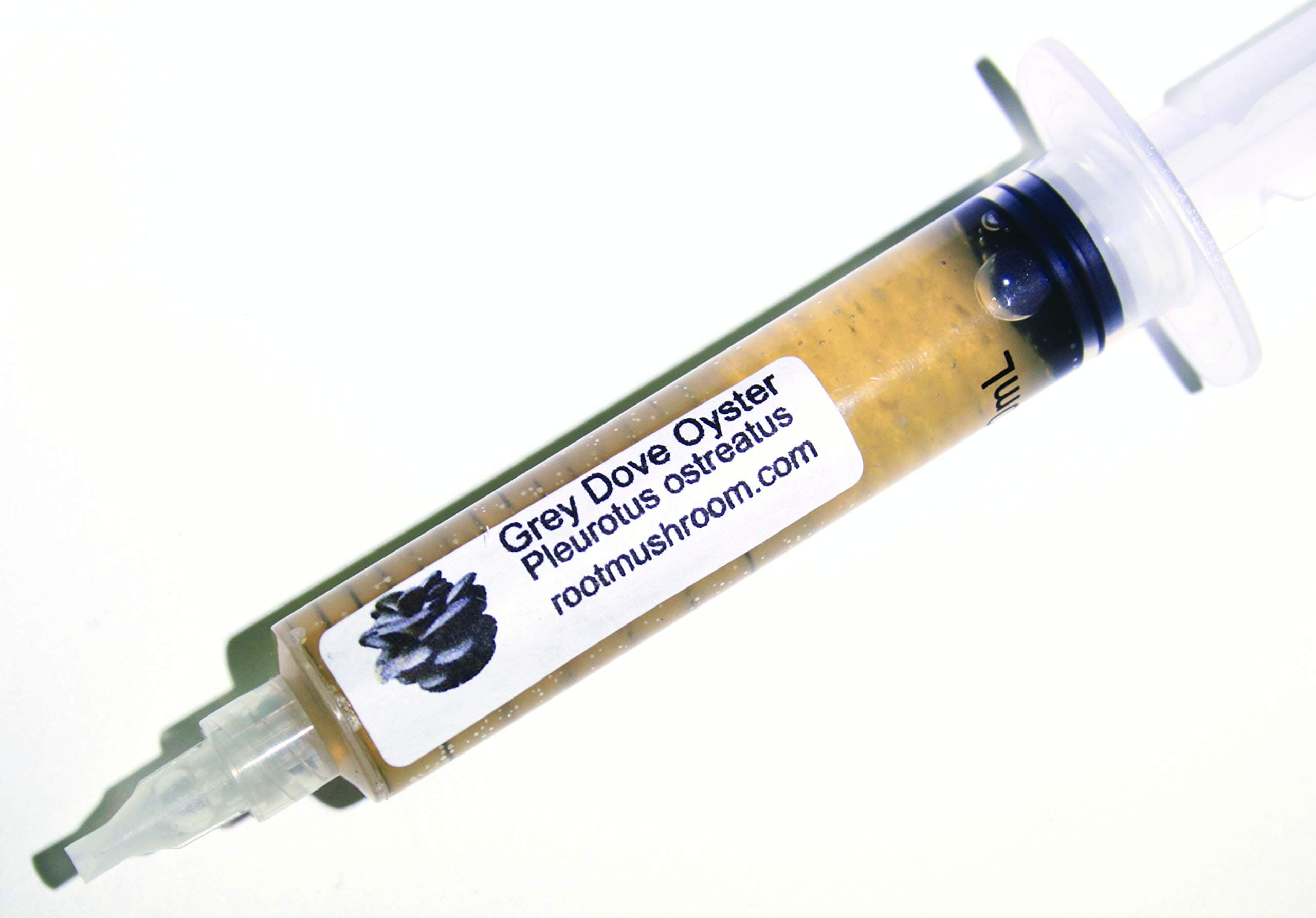 Root Mushroom Farm- 30 Mushroom Liquid Cultures /Grey Dove Oyster(Pleurotus ostreatus)