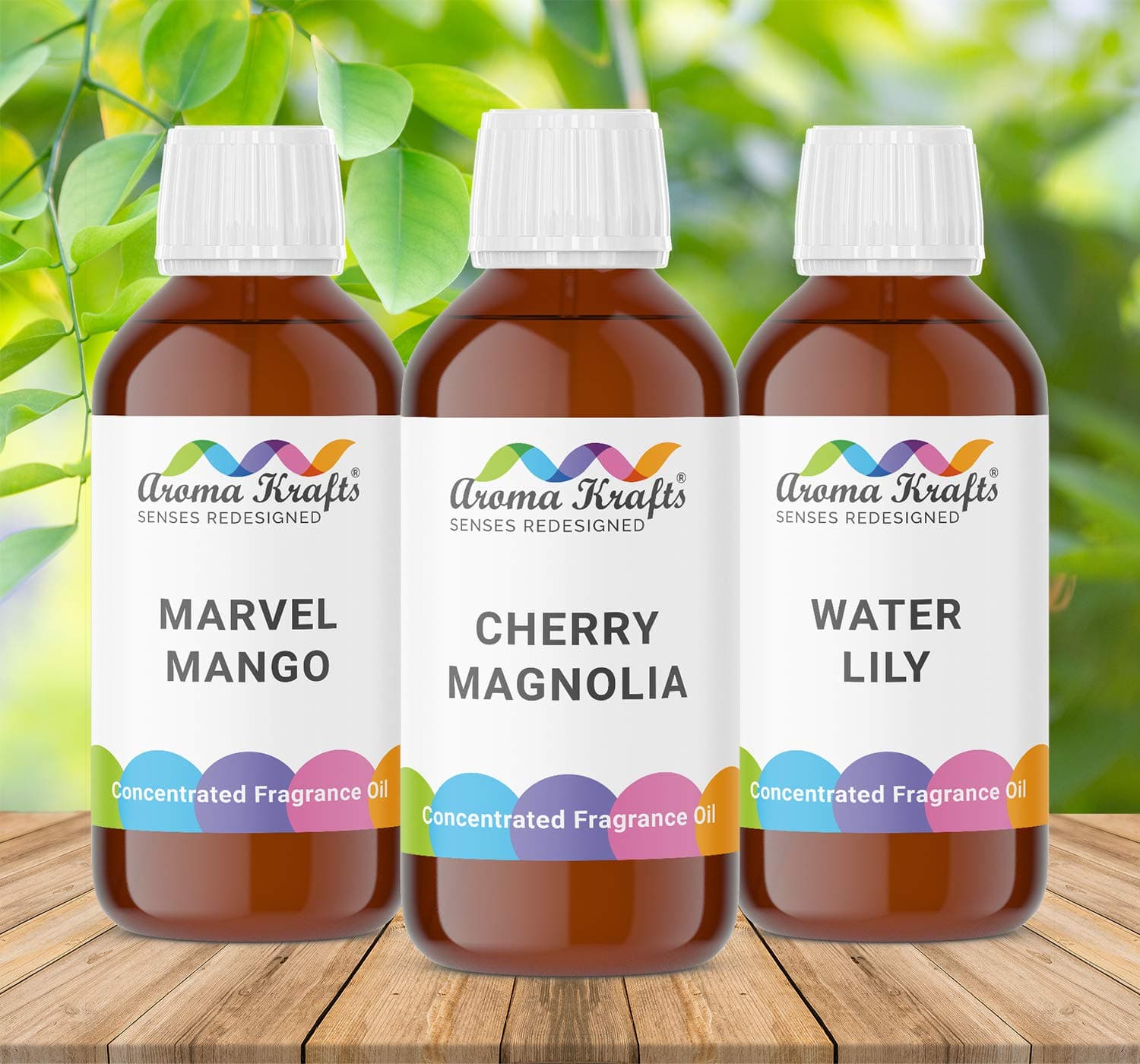 Fragrance Oils for Soap Making & Candle Making - Marvel Mango, Cherry Magnolia, Water Lily - Set of 3 (30ml each)