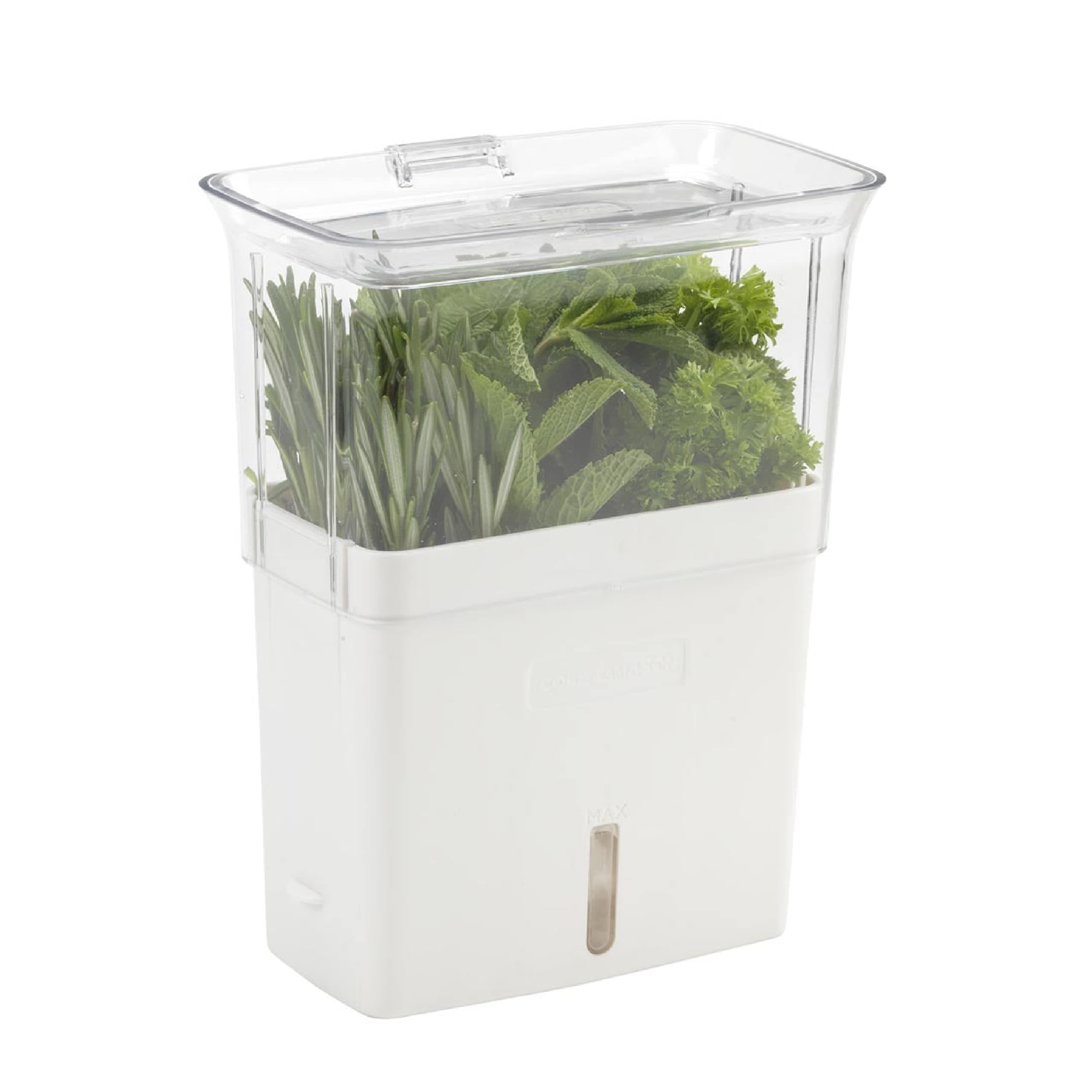 Cole & Mason Fresh Herb Keeper - Acrylic Storage Container for Refrigerator - Storage for Herbs & Vegetables for Fridge - Fresh Herb Keeper