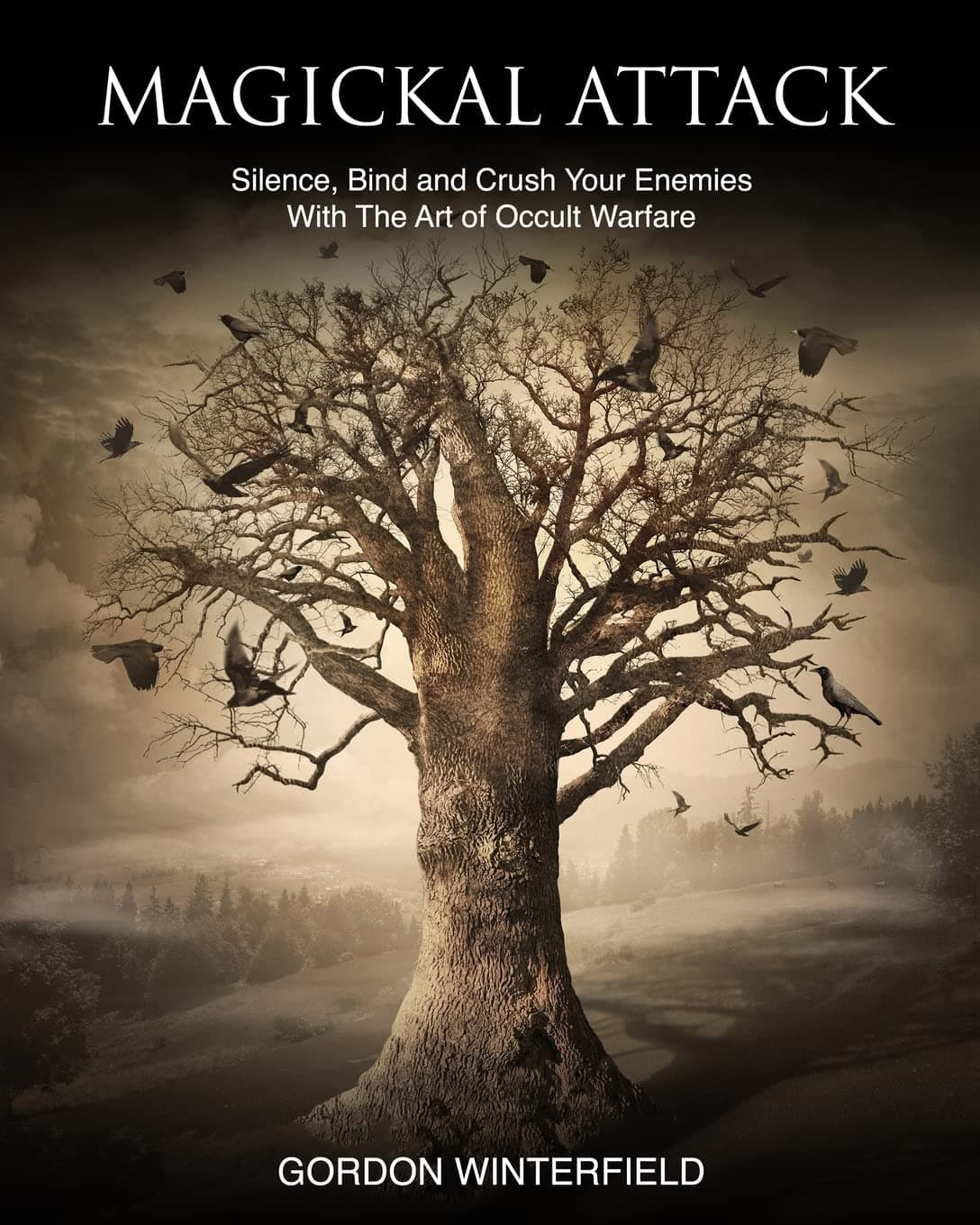 Magickal Attack: Silence, Bind and Crush Your Enemies With The Art of Occult Warfare (The Gallery of Magick) Paperback – October 29, 2015