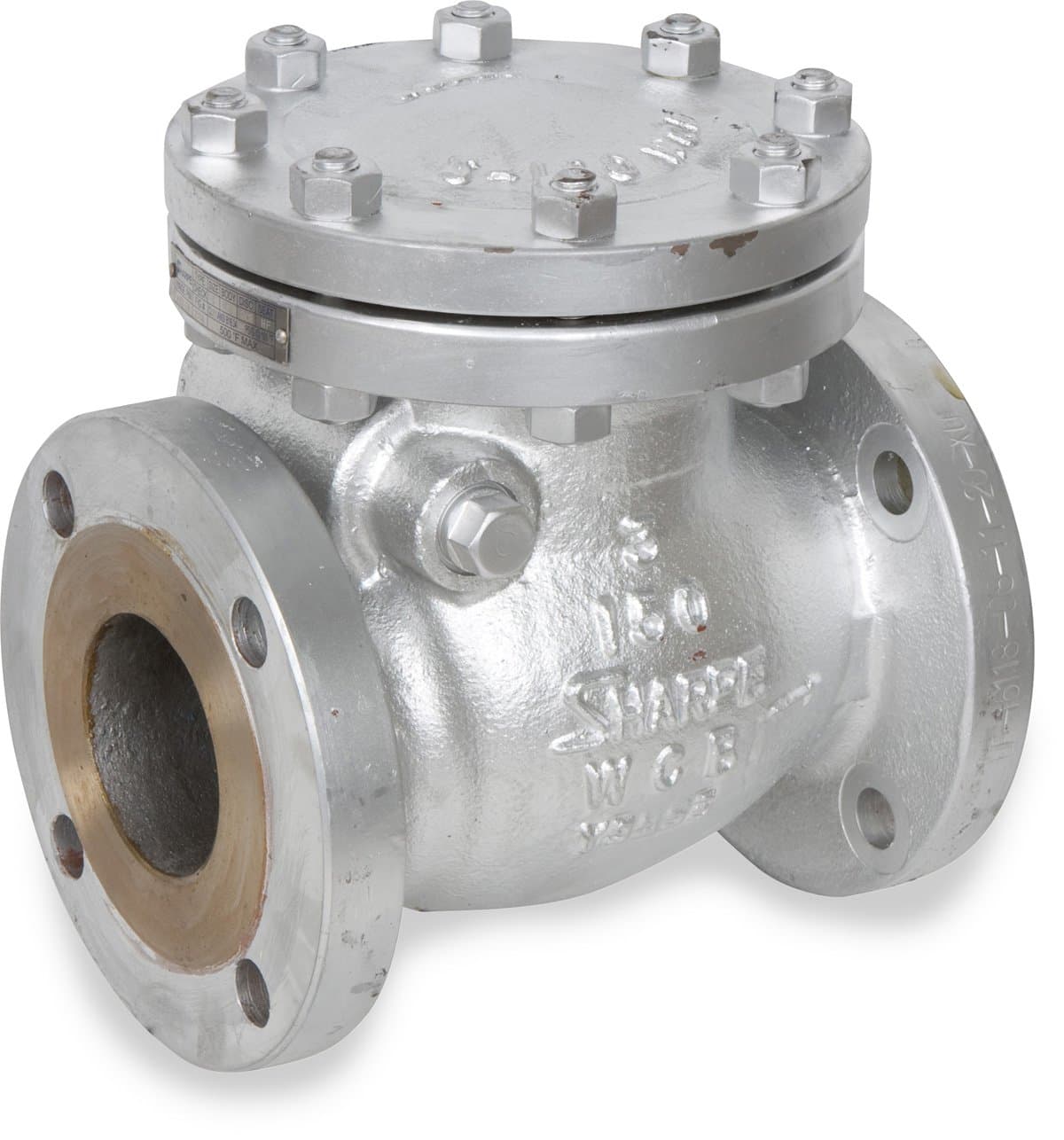 25114 Series Cast Steel Swing Check Valve, Class 150, 2" Flanged