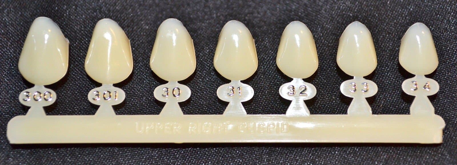 #6 Upper Right Cuspid Tooth - Dental Polycarbonate Temporary Crowns 7 Sizes