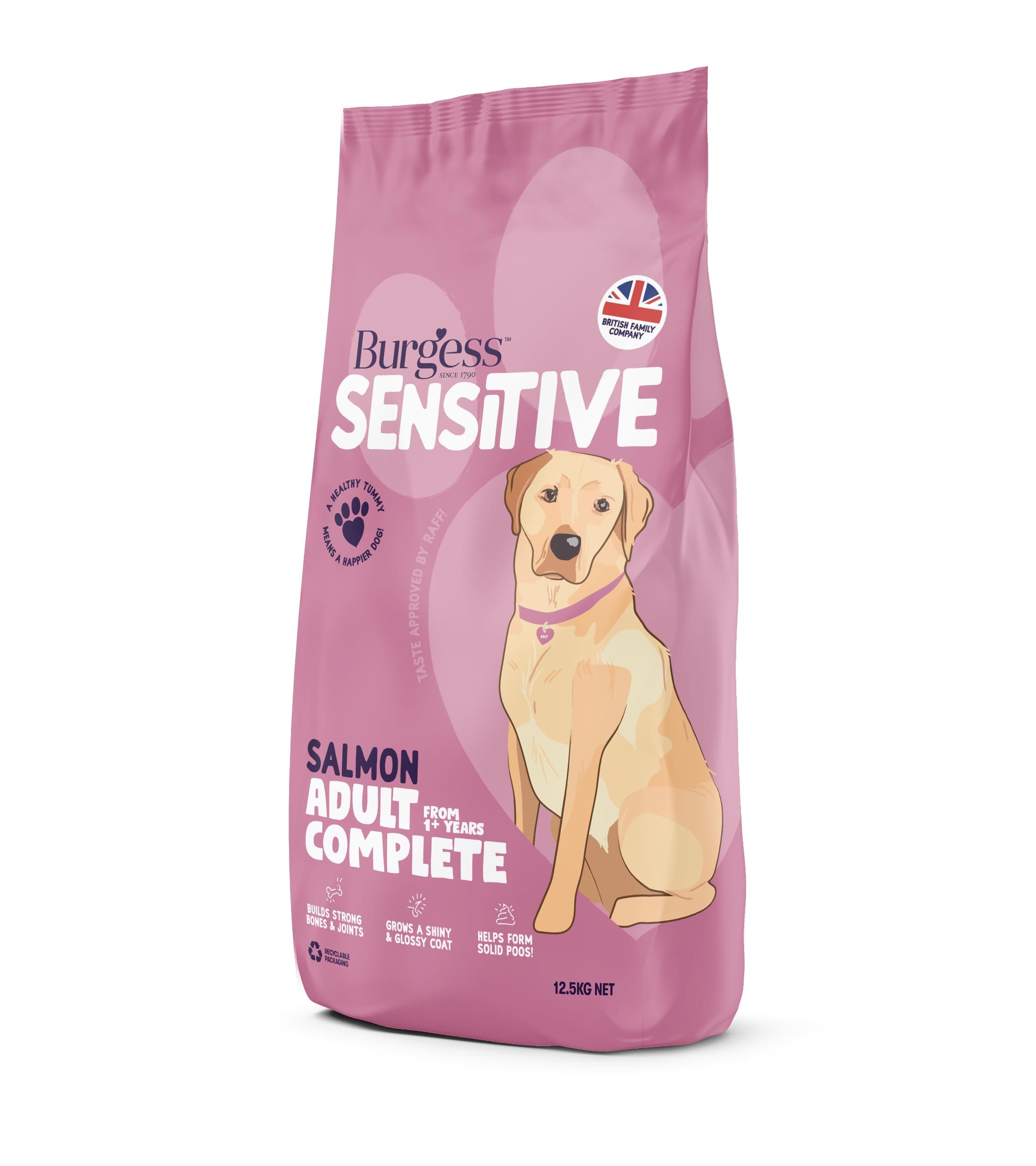 Sensitive Dry Dog Food Salmon, 12.5 kg