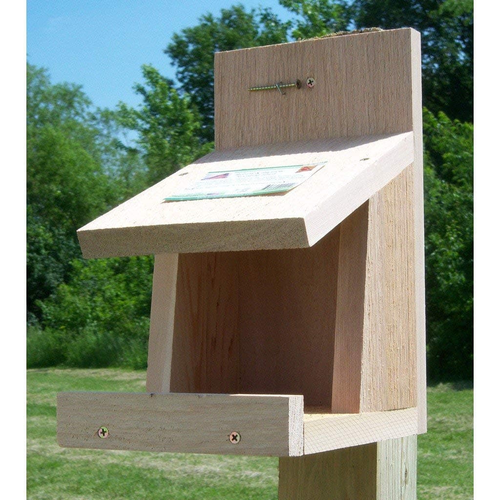 Songbird Essentials SESCS401 Robins Roost Bird House