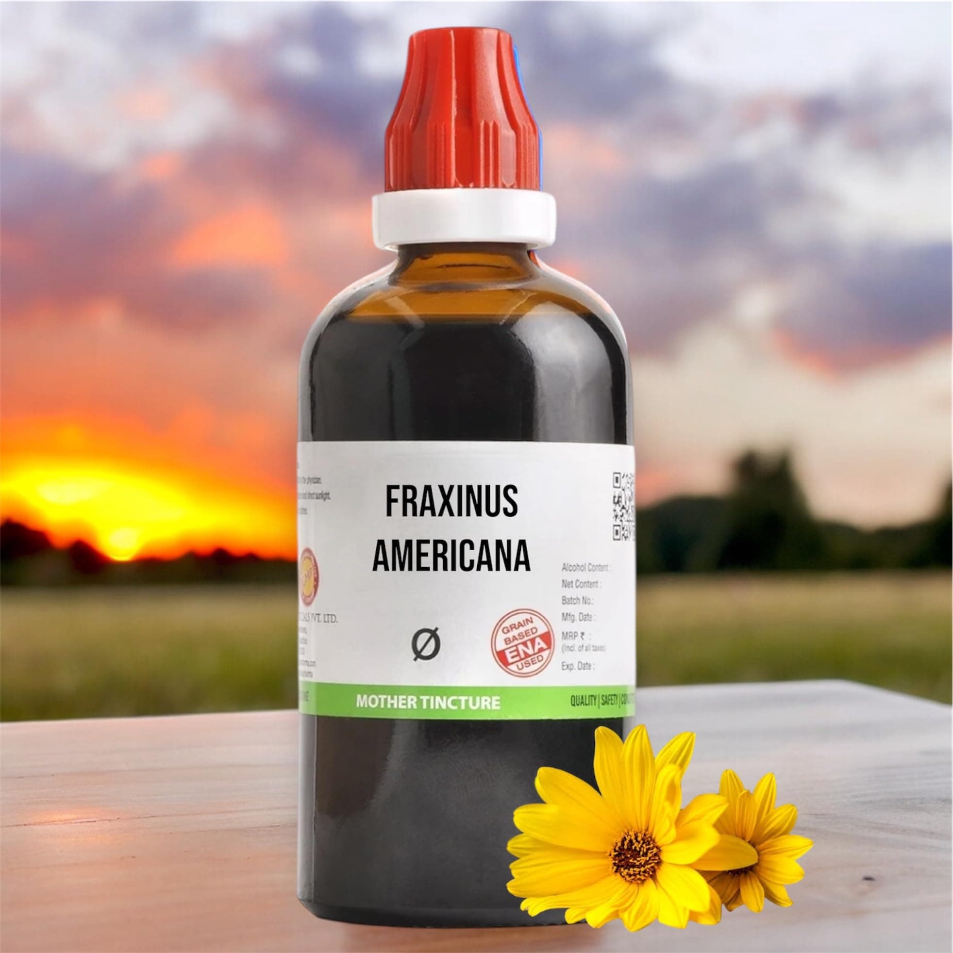 HOMOCOSBJ Fraxinus Americana Mother Tincture Q Homeopathic Medicine 100ml - Set of 1 Bottle