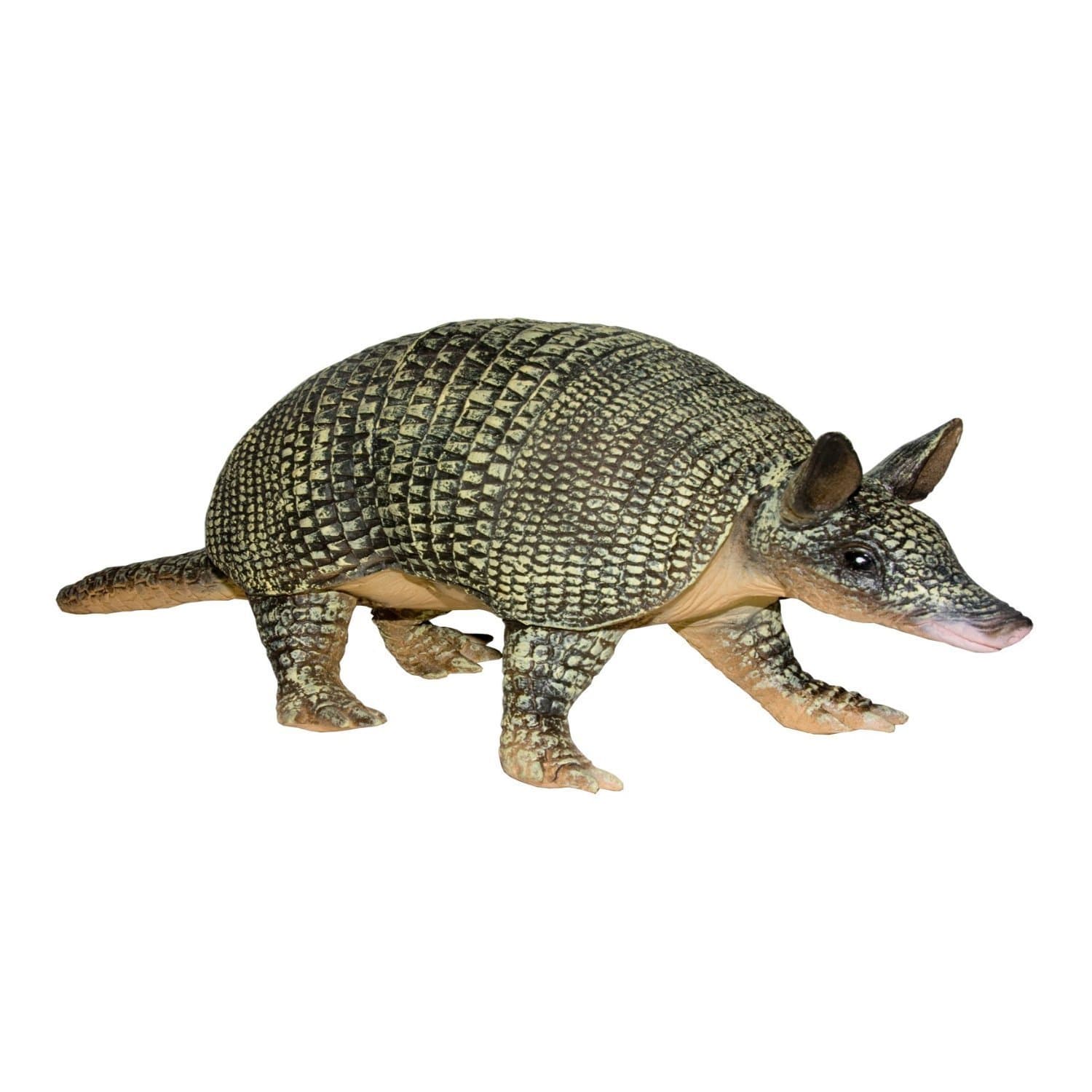 Giant Foam Rubber Armadillo Desert Critter Prop
