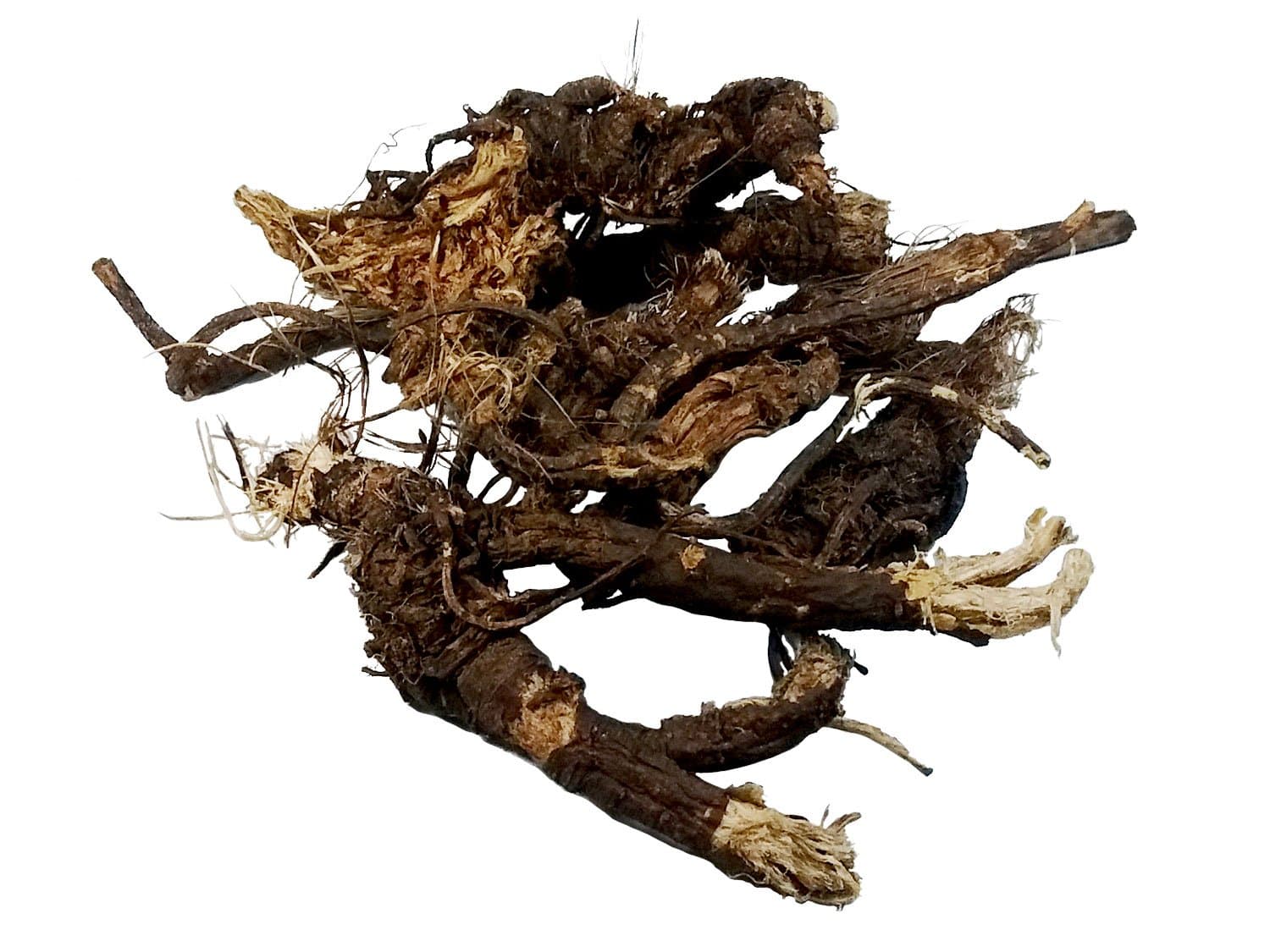 OSHA Root Whole Wildcrafted 1/2 Pound