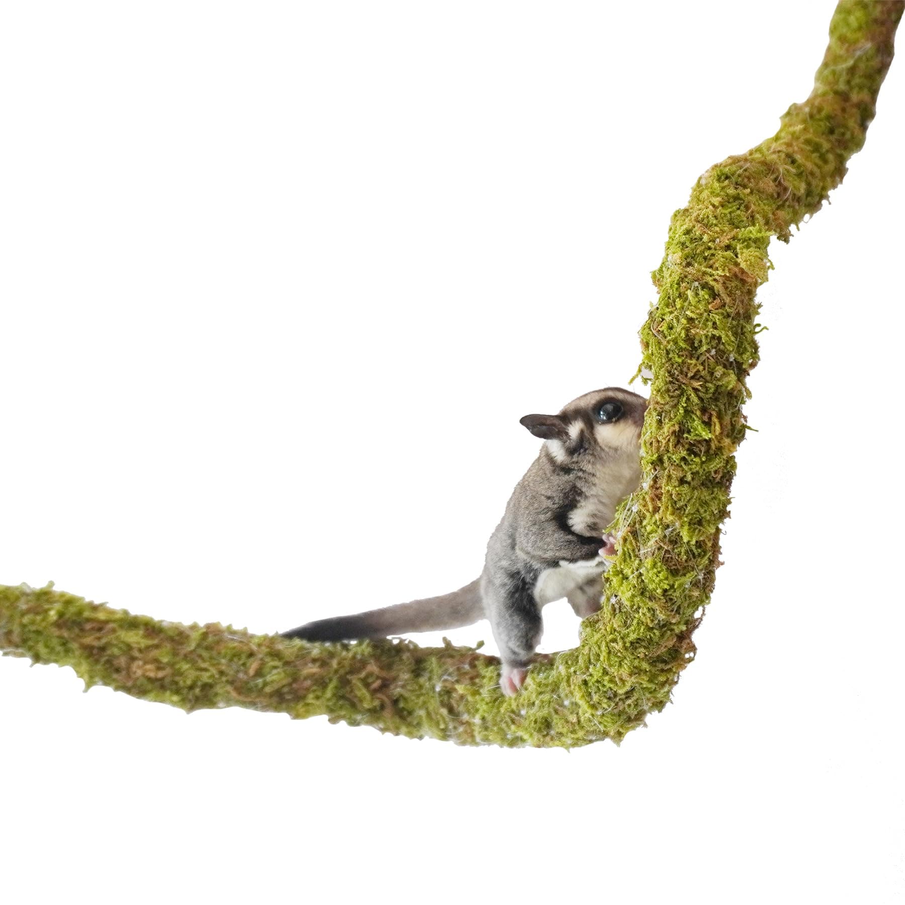 25 Inch Bendable Sugar Glider Climbing Toys, Ideal Sugar Glider Cage Accessories