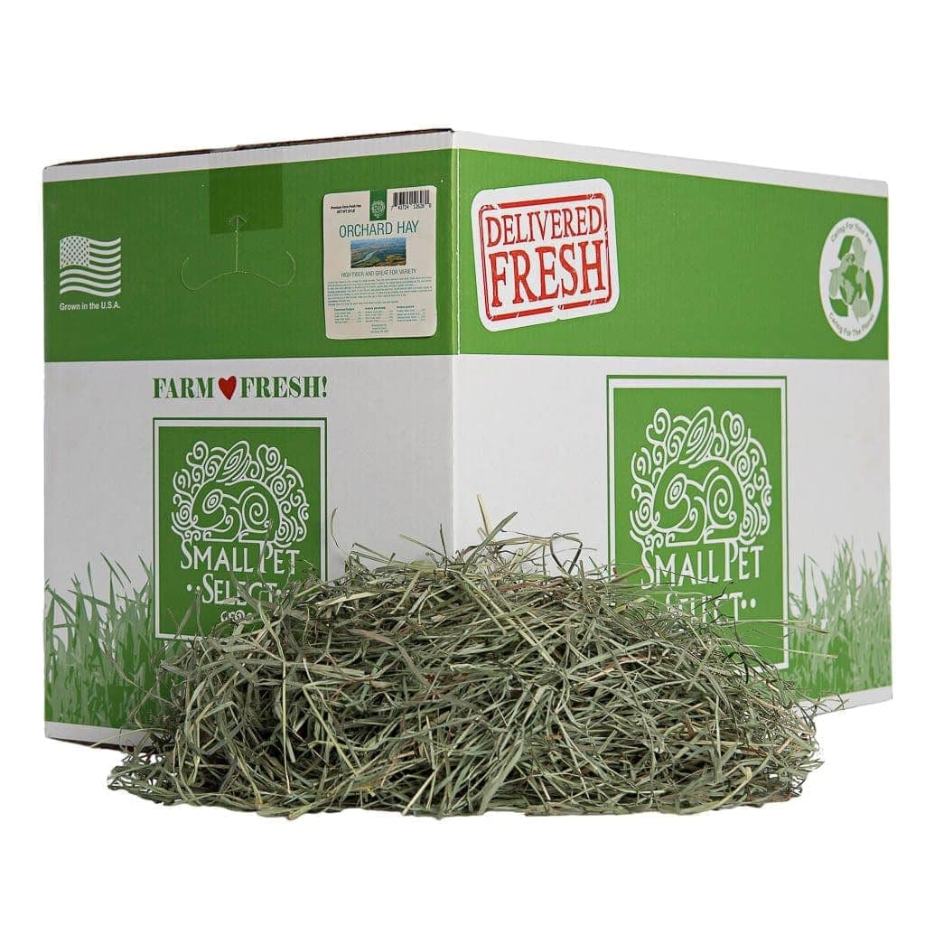Small Pet Select Orchard Grass Hay Pet Food for Rabbits, Guinea Pigs, Chinchillas and Other Small Animals, Premium Natural Hay Grown in The US, 20lb (9.07kgs)