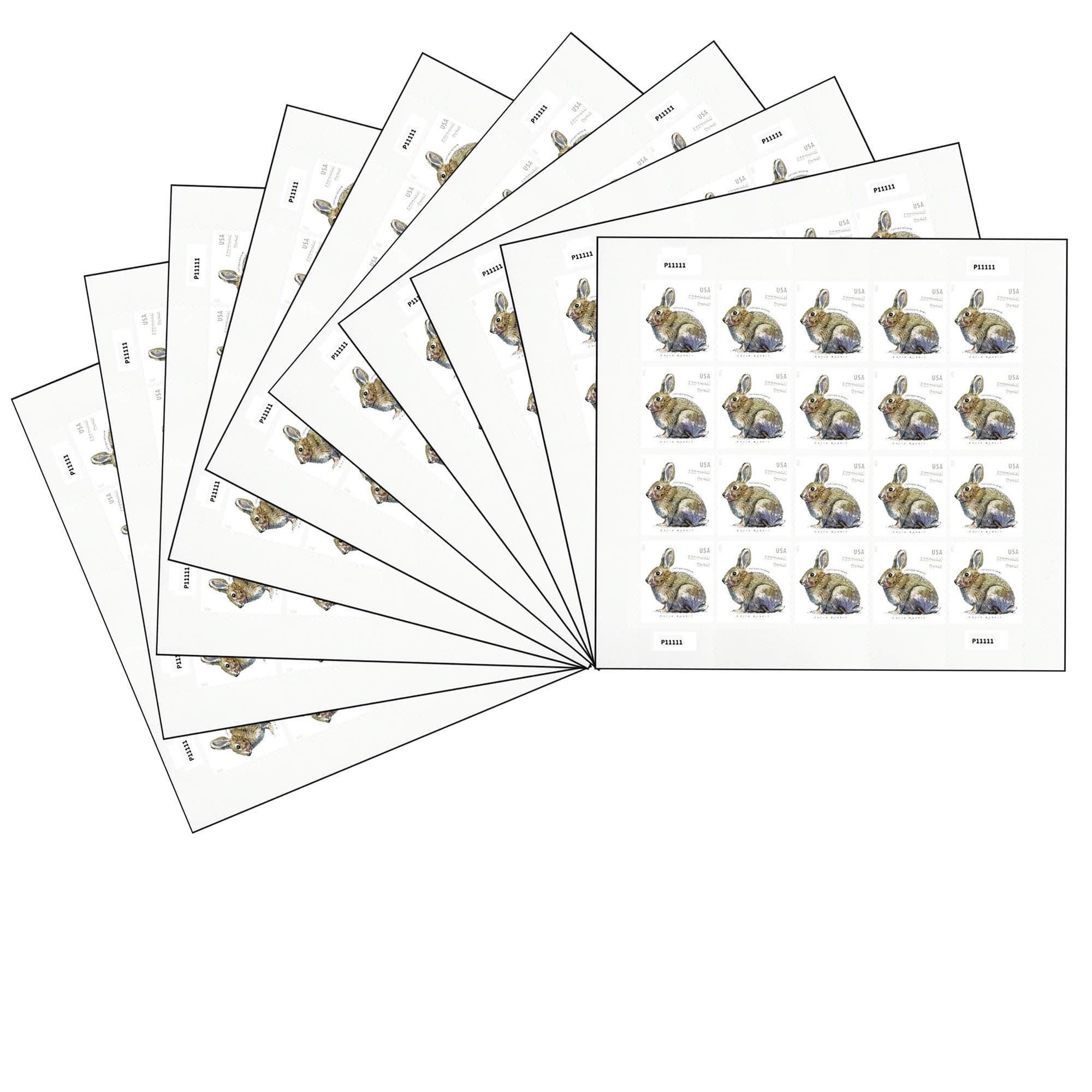 Brush Rabbit Additional Ounce Forever Postage Stamps 10 Sheets of 20 US Postal First Class Wedding Celebration Anniversary Party (200 Stamps) Use Three of These Stamps for one Ounce Letters.