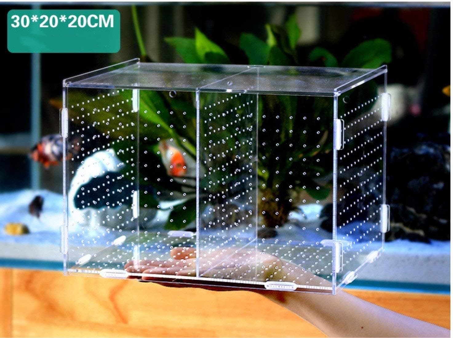 FITMATE Fish Hatchery Fish Breeding Double Breeding Breeder Rearing Trap Box Hatchery Isolation Box Aquarium Accessory For Sick And Pregnancy Fish